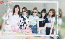 综艺闺蜜爆料视频大全下载,揭秘明星幕后故事