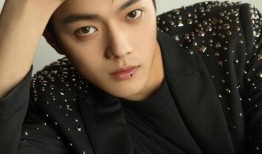 华晨宇张雨绮最新爆料,揭秘娱乐圈背后的惊人真相！